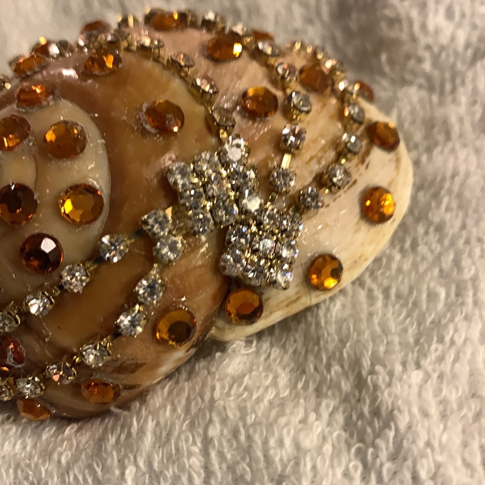 Seashell Art